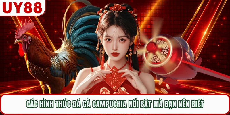 Các hình thức đá gà Campuchia nổi bật mà bạn nên biết 