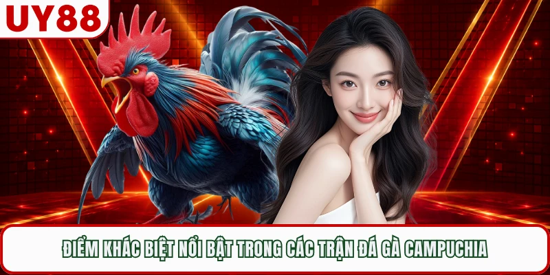 Điểm khác biệt nổi bật trong các trận đá gà Campuchia 