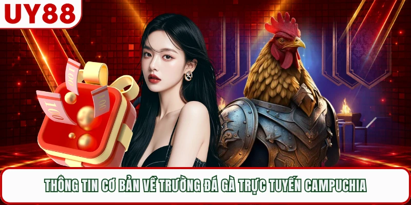 Thông tin cơ bản về trường đá gà trực tuyến Campuchia 