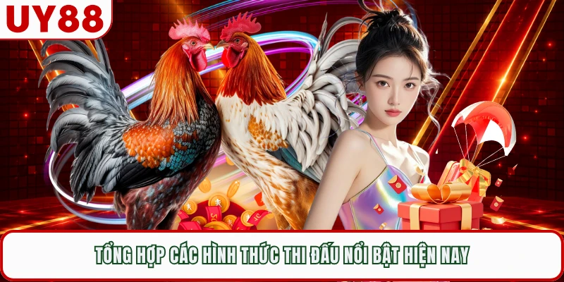 Tổng hợp các hình thức thi đấu nổi bật hiện nay 